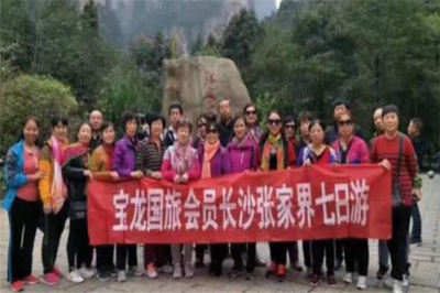 寶龍國際旅行社 開啟您的精彩旅程，專業旅游服務的不二之選